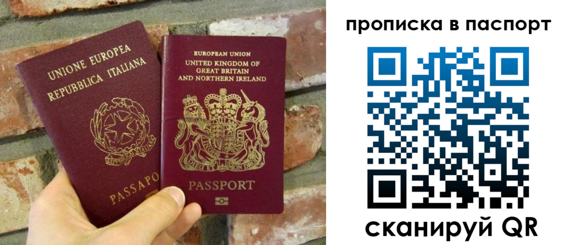 прописка в Борзе