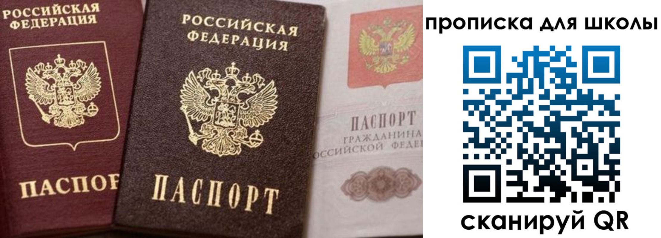 прописка законно в Борзе